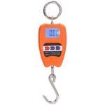 Mini-Crane 200kg Digital Weigh Scale