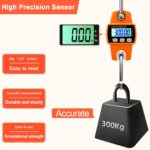 300kg Digital crane weigh scale capacity